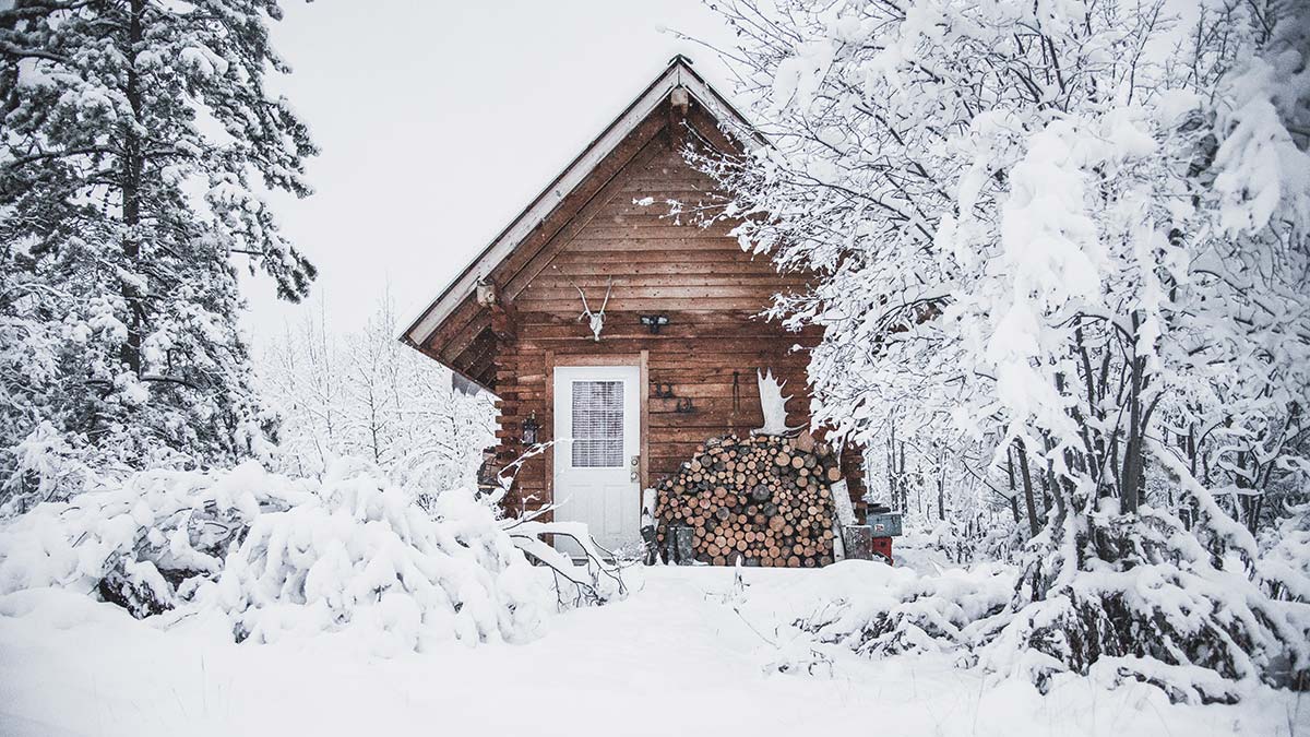 Small wooden cabin surrounded by snow-covered trees with stacked firewood outside