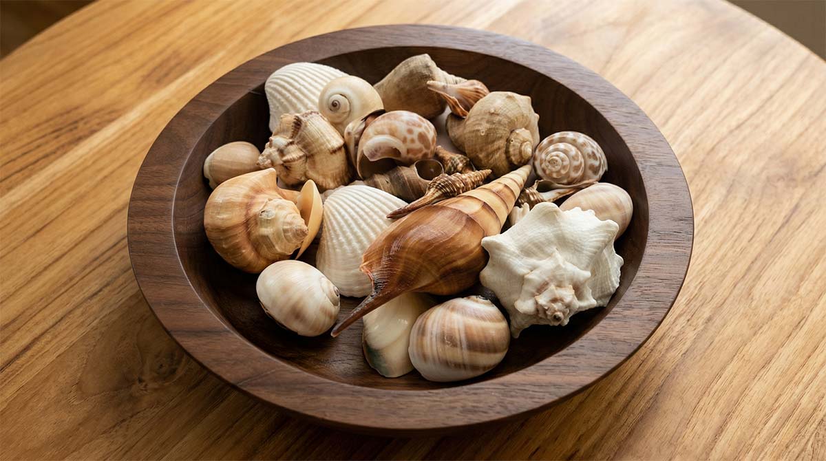 a small black walnut wooden bowl used to hold seashells as a decorative statement